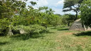 رحلة سفاري ساحرة في حديقة أكاجيرا: مغامرة استثنائية وسط براري رواندا